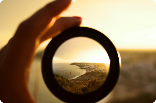 Vision